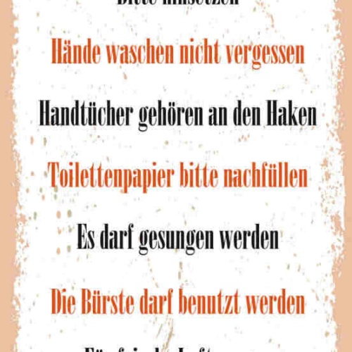 Schild Toiletten Regeln Bitten Hinsetzen Hände Waschen WC 27x10 Blech od.Holz