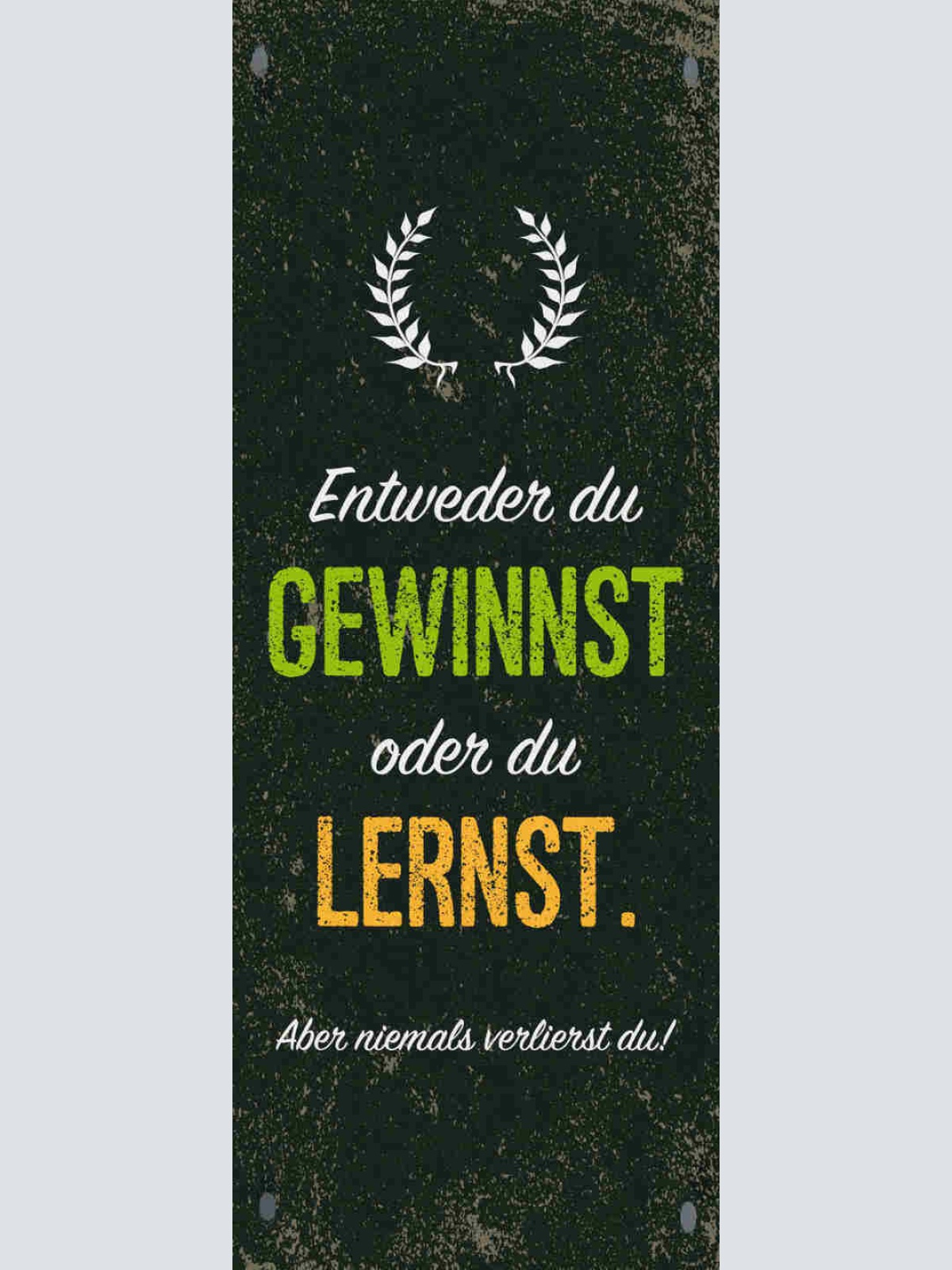 Schild Entweder Du Gewinnst Oder Du Lernst Aber Niemals Verlierst Du Leben 27x10