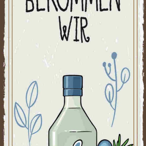Schild Das Bekommen Wir Gin Hin Alkohol Spirituose Flasche 27x10 Blech od.Holz
