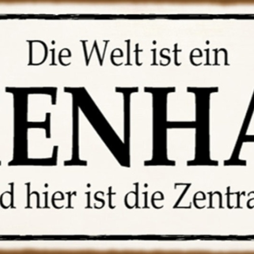Schild Die Welt Ist Ein Irrenhaus & Hier Ist Die Zentrale 27x10 Blech od.Holz