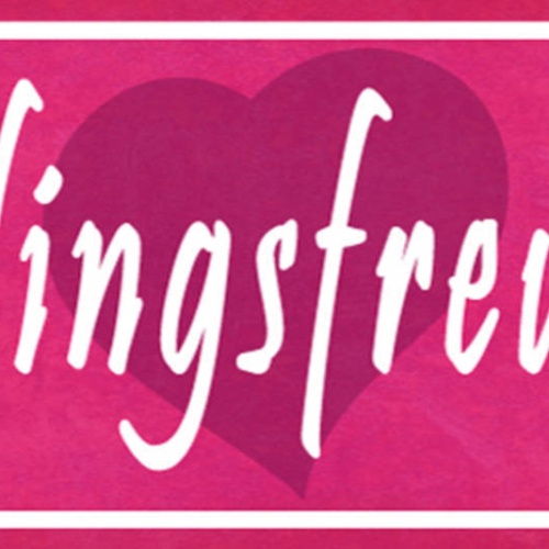 Schild Lieblingsfreundin Freundin Freundschaft Frau Mann 27x10 Blech od.Holz