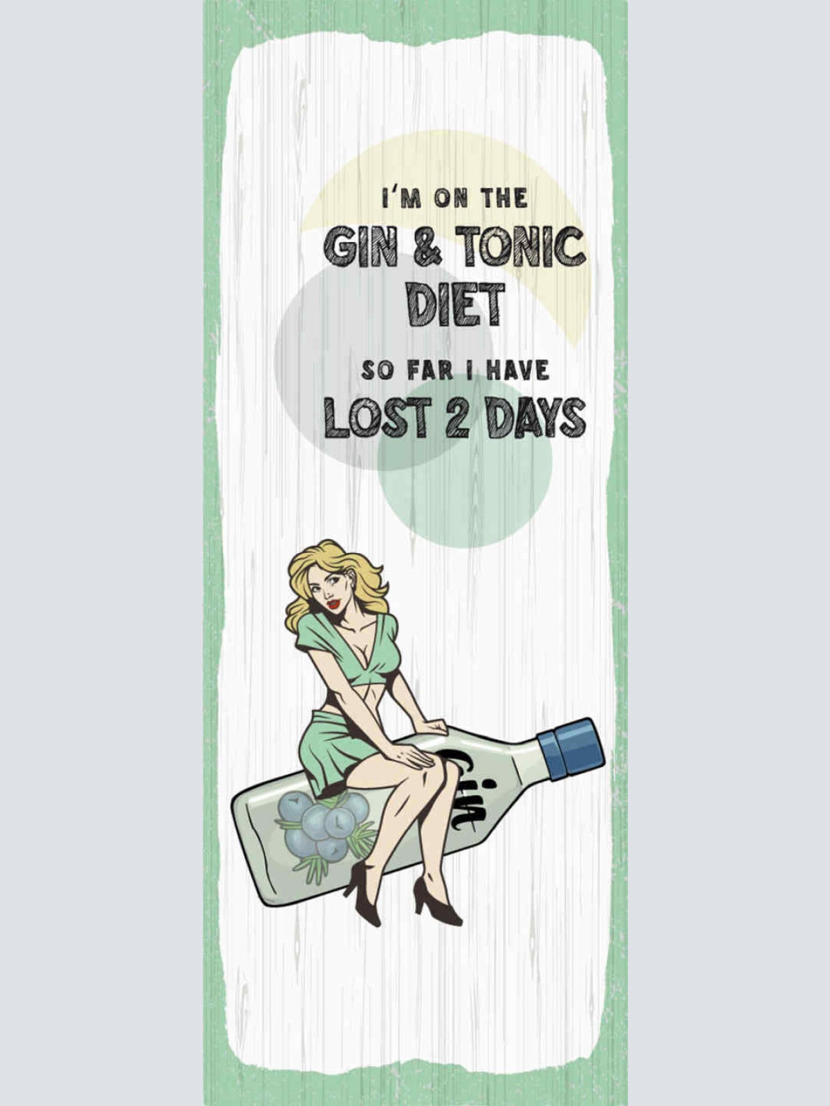 Schild I'm On A Gin & Tonic Diet So Far I Have Lost 2 Days 27x10 Blech od.Holz