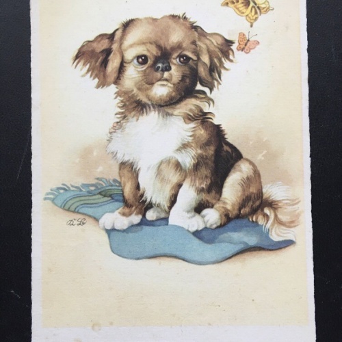 Kleiner Hund mit Schmetterling - Künstlerkarte 400359 TH F