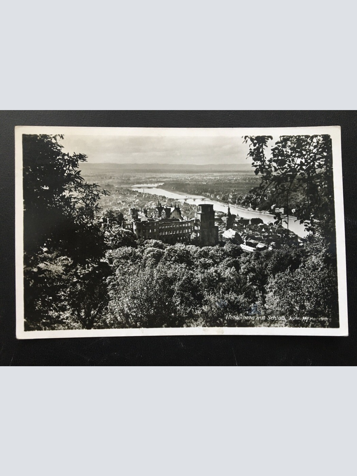 Heidelberg mit Schloß - Blick auf Ort - Fluss - Deutschland 400319 TH F