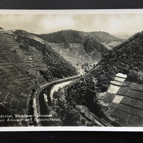 Abrtal - Weinberg-Terrassen - Altenahr Reimerzhoven - Deutschland 400214 TH