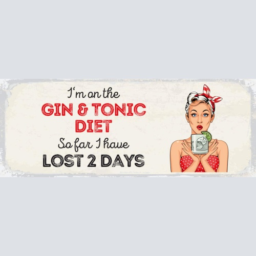 Schild I'm On The Gin & Tonic Diet So Far I Have Lost 2 Days 27x10 Blech od.Holz