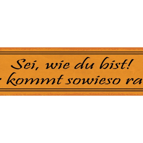 Schild Sei Wie Du Bist Es Kommt Sowieso Raus Einmalig 46 x 10 Blech od. Holz