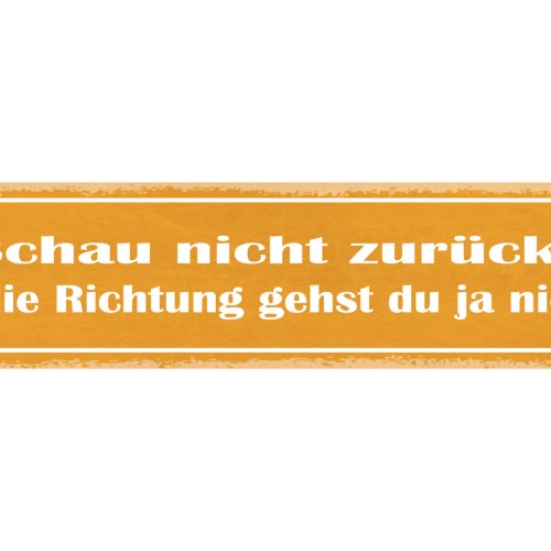 Schild Schau Nicht Zurück In Die Richtung Gehst Du Ja Nicht 46x10 Blech od.Holz