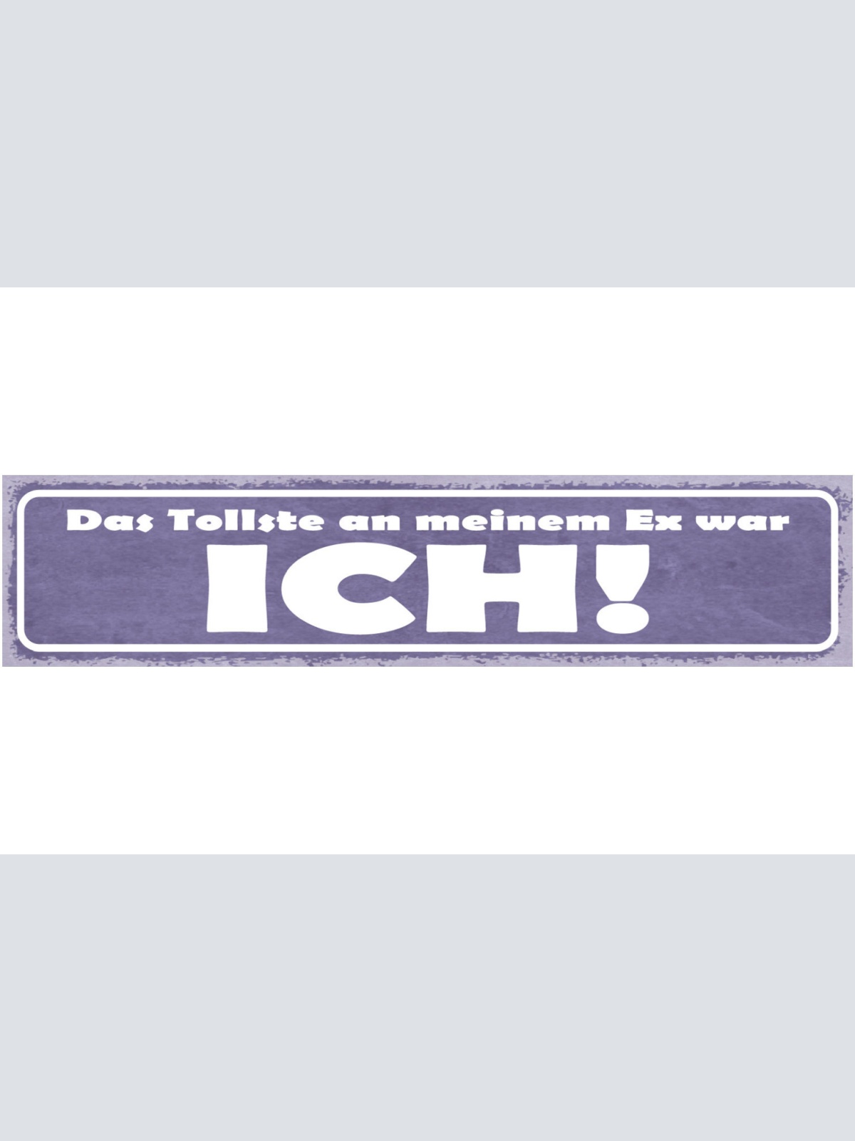 Schild Das Tollste An Meinem Ex War Ich Ehe Beziehung 46 x 10 Blech od. Holz