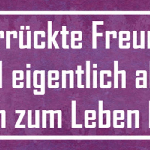 Schild Verrückte Freunde Sind Eigentlich Alles Was Man Zum Leben Braucht 27x10