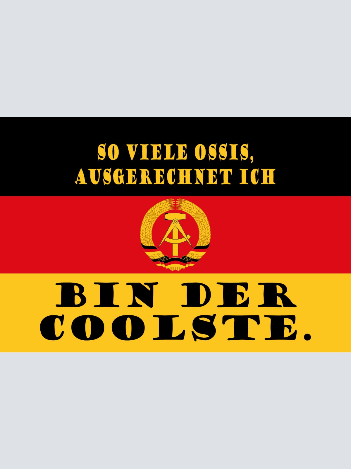 Schild Ossi Coolste DDR Ostdeutschland Osten 12x18 / 20x30 / 30x40 Blech od.Holz
