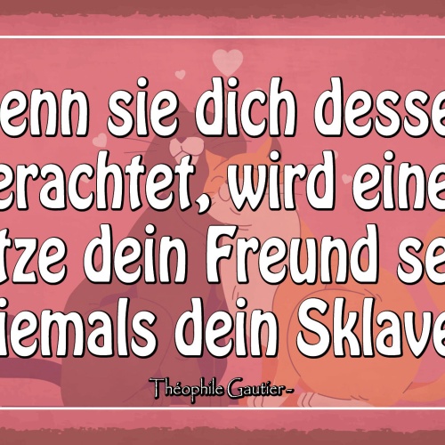 Schild Katze Sklave Freund Futter Haustier 12x18 / 20x30 / 30x40 Blech od. Holz