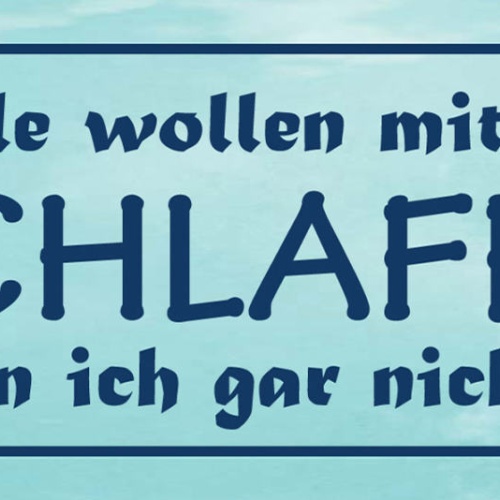 Schild Alle Wollen Mit Mir Schlafen Derweil Bin Ich Gar Nicht Müde 27x10
