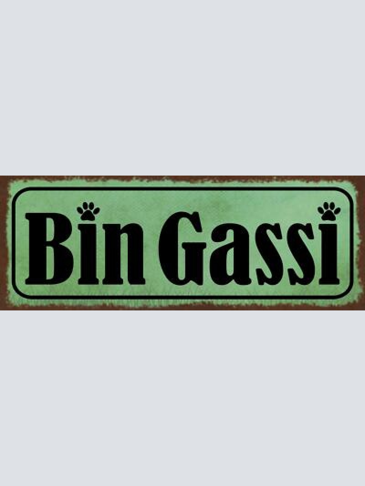 Schild bin gassi gehen hund hunde klo wc toilette haus tier 27x10 blech od.holz