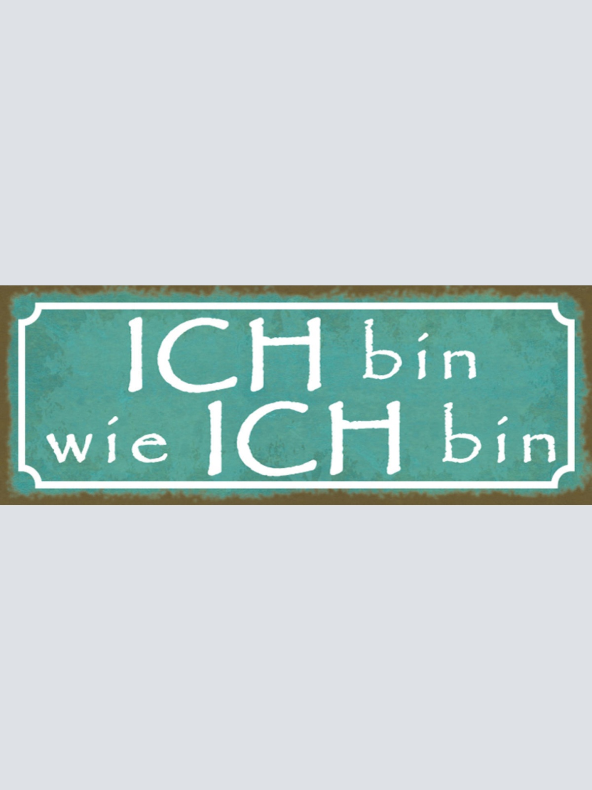 Schild Ich Bin Wie Ich Bin Persönlichkeit Einzugartig 27x10 Blech od.Holz