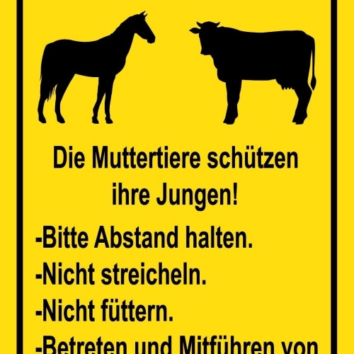 Schild Weidevieh Kuh Pferd Muttertier Jungen 12x18 / 20x30 / 30x40 Blech od.Holz