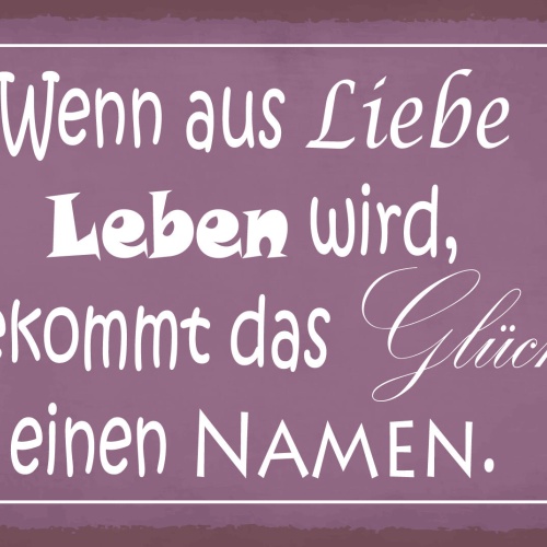 Schild Liebe Leben Glück Namen Ehe Beziehung 12x18 / 20x30 / 30x40 Blech od.Holz