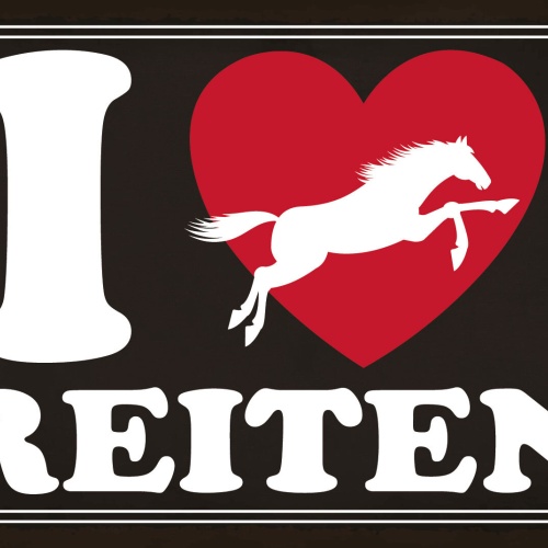 Schild I ❤️ Reiten Pferde Liebe Tier Reiter 12x18 / 20x30 / 30x40 Blech od. Holz