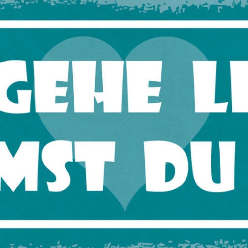 Schild Ich Gehe Leben Kommt Du Mit Liebe Arbeit Freizeit 27x10 Blech od.Holz