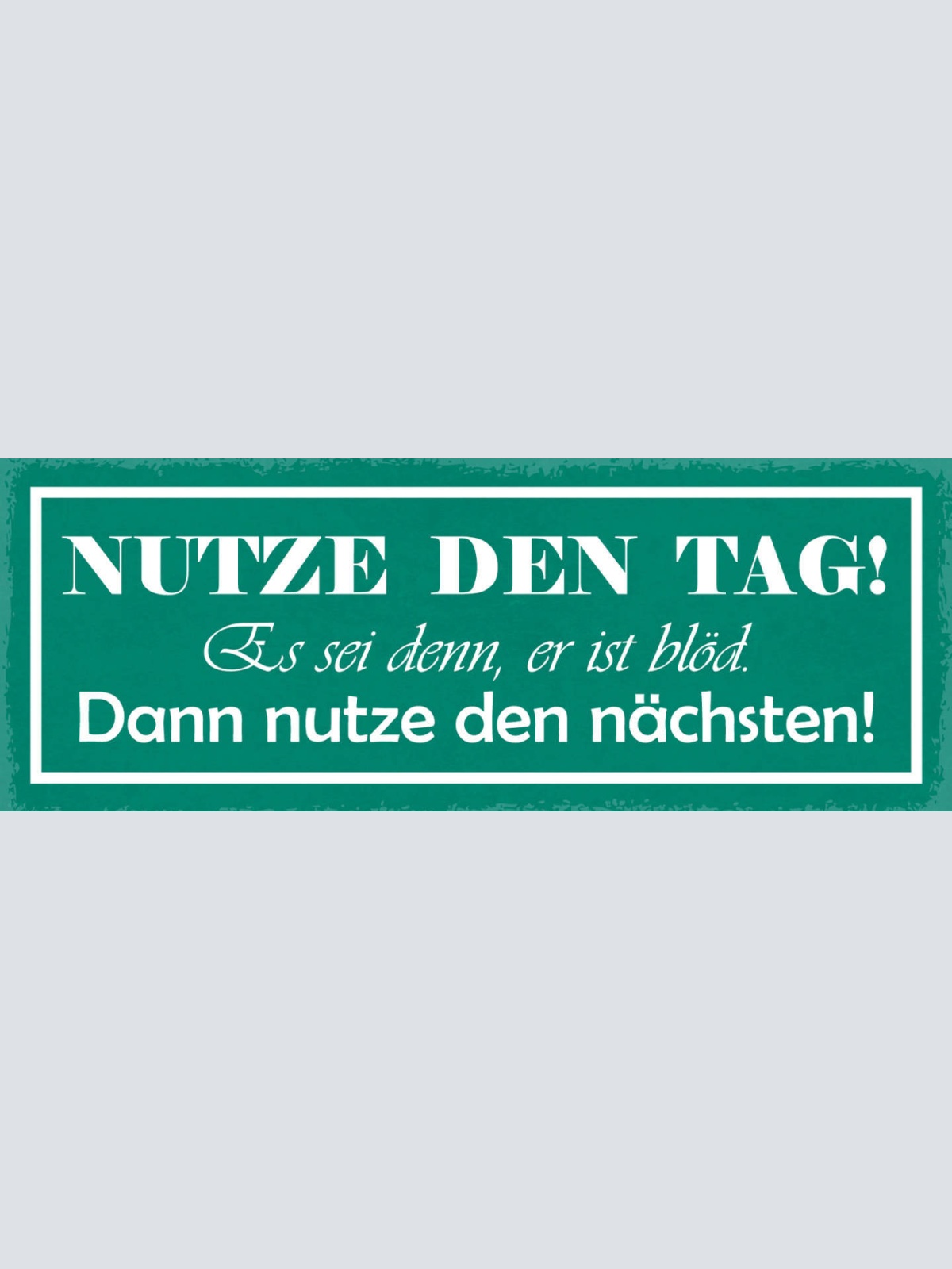 Schild Nutze Den Tag Es Sei Den Er Ist Blöd Dann Nütze Den Nächsten Leben 27x10