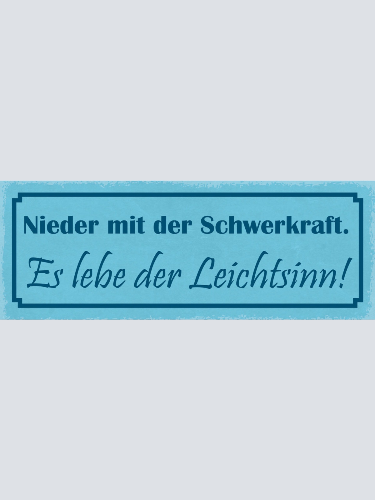 Schild Nieder Mit Der Schwerkraft Es Lebe Der Leichtsinn 27x10 Blech od.Holz