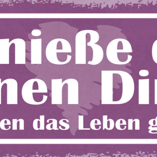 Schild Genieße Die Kleinen Dinge Sie Machen Das Leben Großartig 27x10