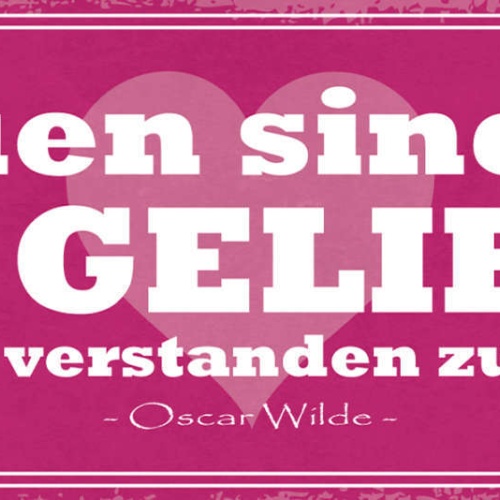 Schild Frauen Sind Da Um Geliebt Nicht Um Verstanden Zu Werden Oscar Wilde 27x10