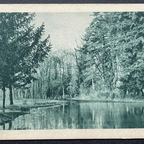 Fluss Bach Wald Baum Park Au Gebiet Italien? 410154 TH C