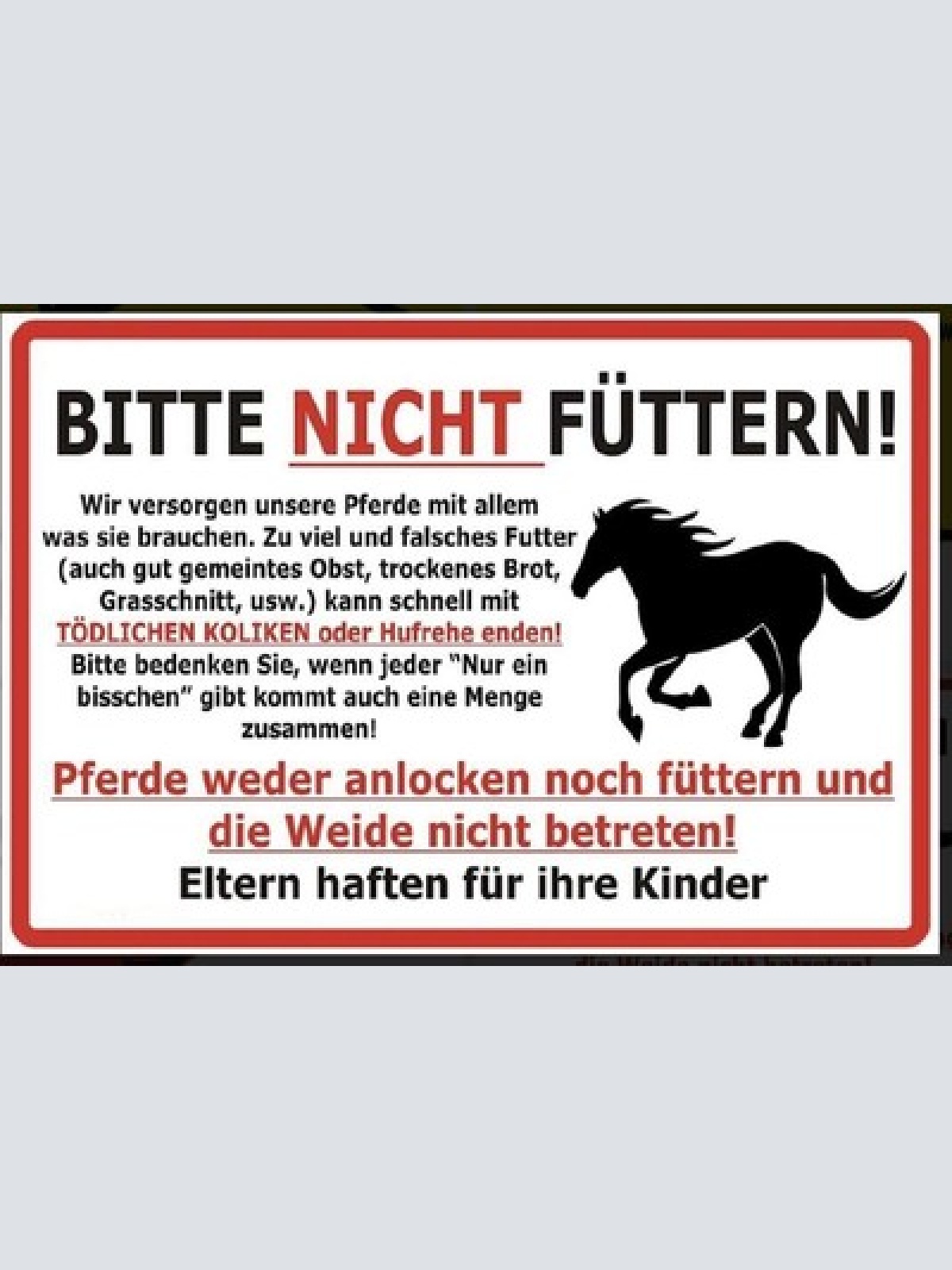 Schild pferd nicht füttern spruch hinweis 12x18/20x30/30x40 blech oder holz