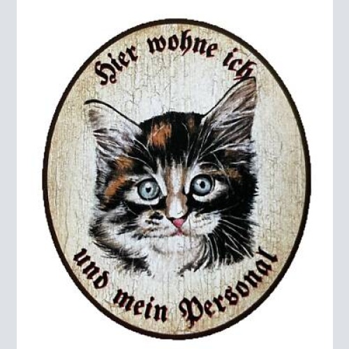 Kuk nostalgie holzschild "hier wohne ich und mein personal“  katze junges baby
