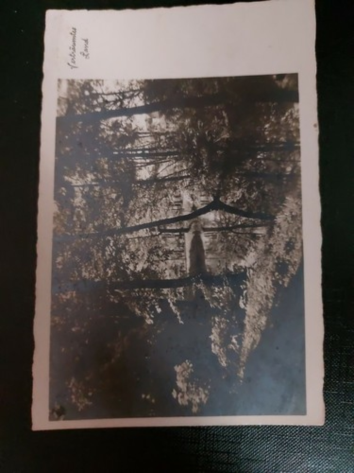 Verträumtes Land Fluss Wald Wiese 402510 WM