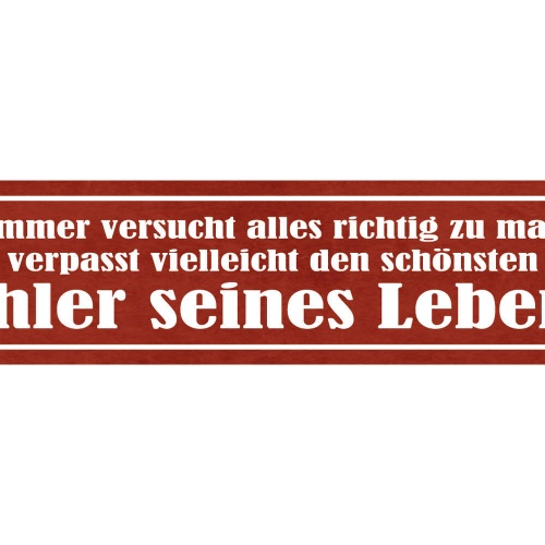 Schild Wer Versucht Alles Richtig Zu Machen Verpasst Schönsten Fehler Des Lebens