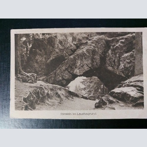 Torstein im Lachaugrund Felsen Berg Baum Wurzeln 402504 WM F