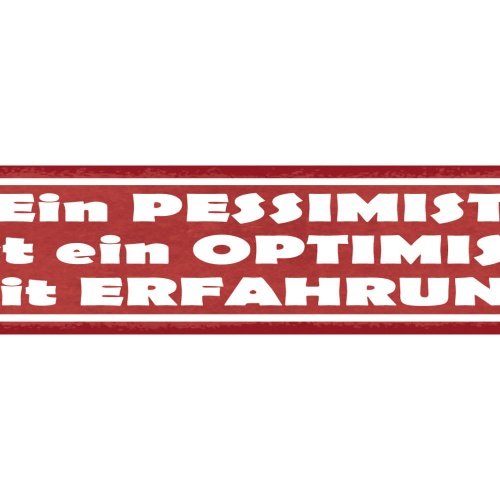 Schild Ein Pessimist Ist Ein Optimist mit Erfahrung 46 x 10 Blech od. Holz