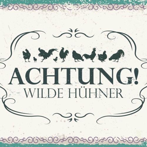 Schild Achtung Wilde Hühner Hendl Bauernhof Farm Ei 12x18 20x30 30x40 Blech/Holz