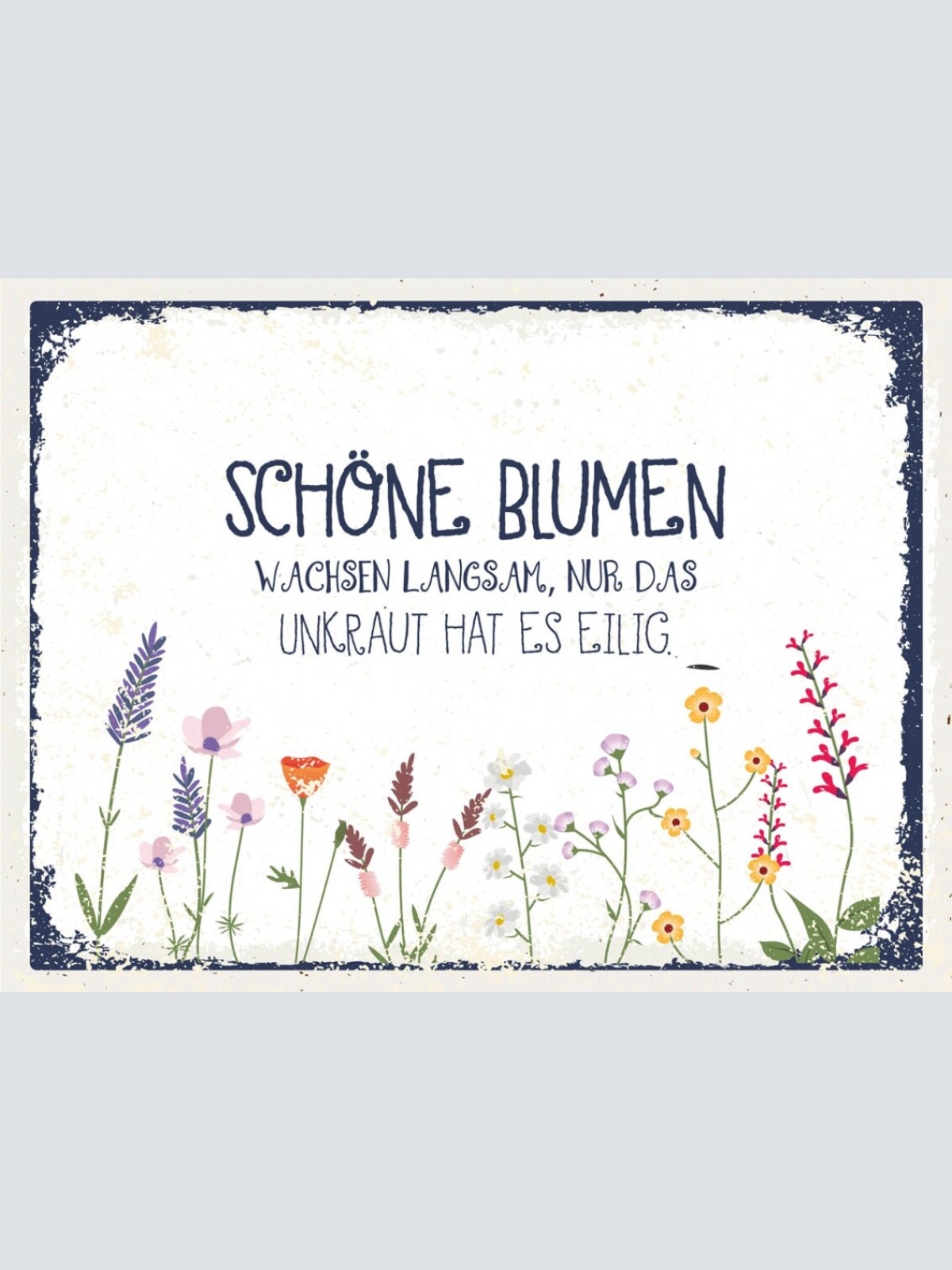 Schild Schöne Blumen Wachsen Langsam Unkraut Eilig 12x18 20x30 30x40 Blech/Holz