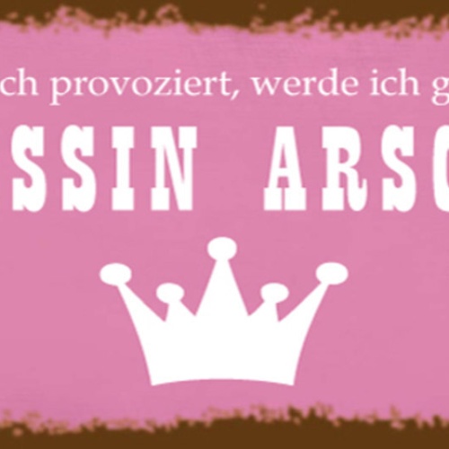 Schild Wenn Man Mich Provoziert Werde Ich Ganz Schnell Zu Prinzessin Arschloch