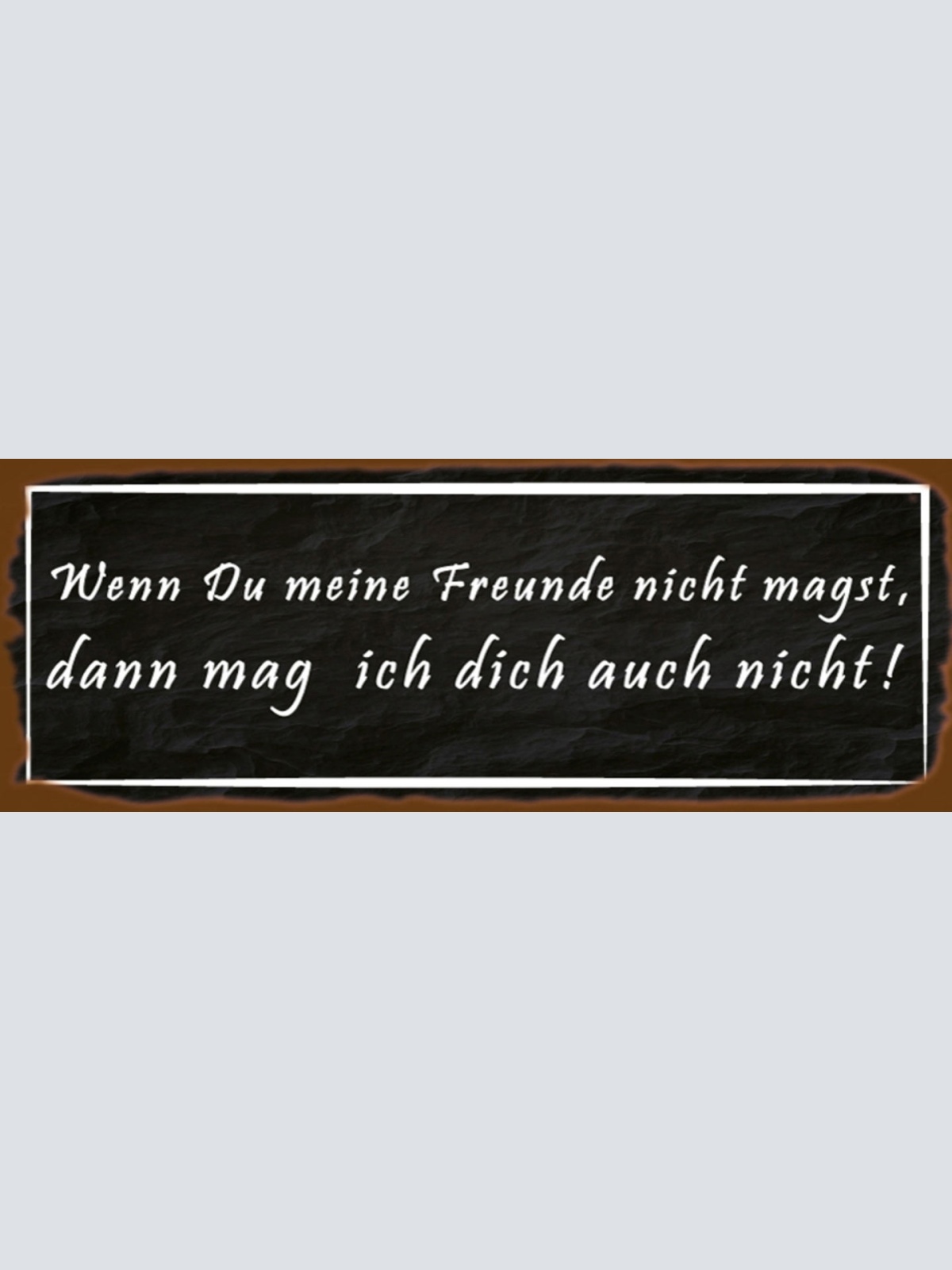 Schild Wenn Du Meine Freunde Nicht Magst Dann Mag Ich Dich Auch Nicht 27x10