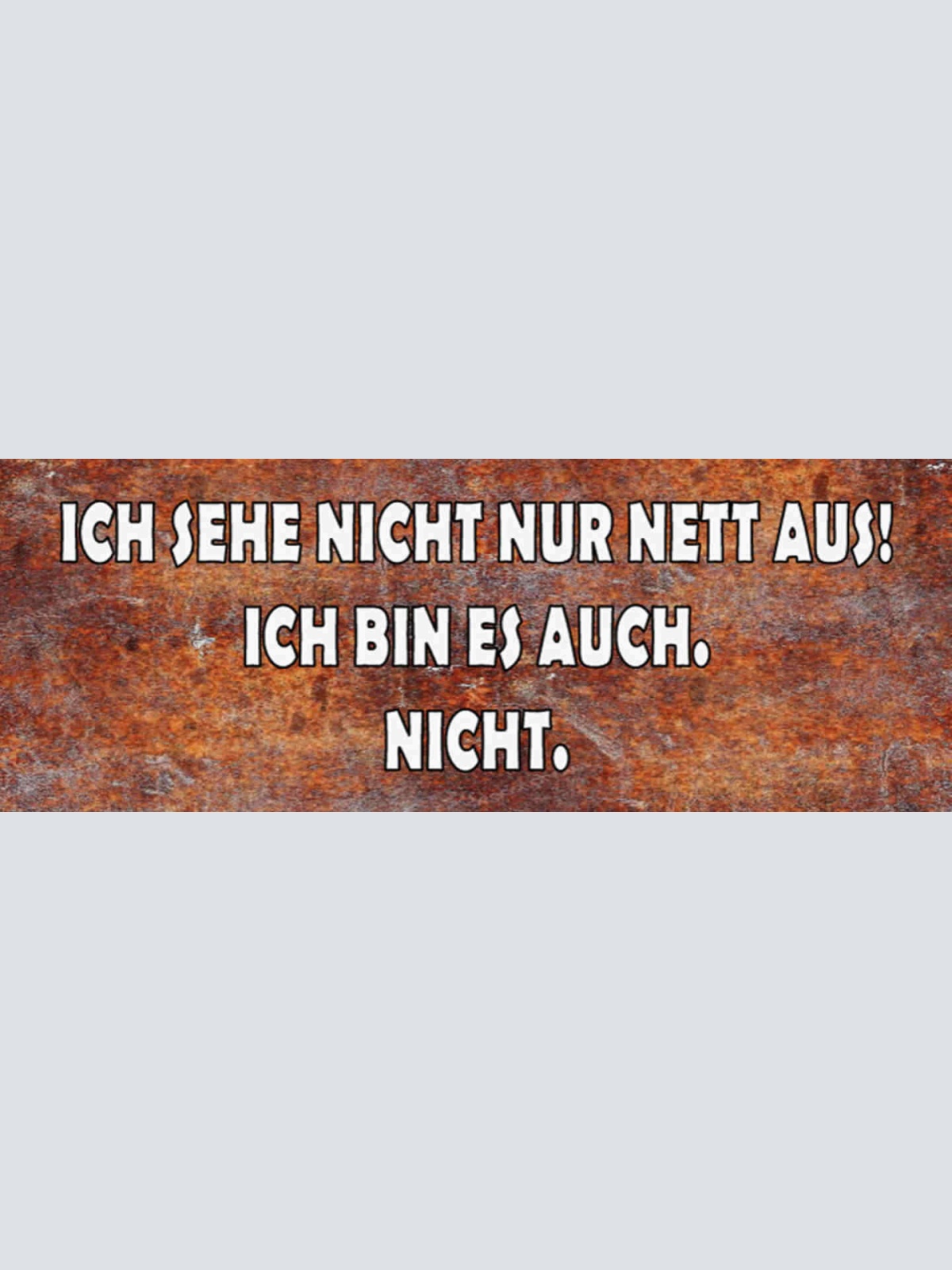 Schild Ich Sehe Nicht Nur Nett Aus Ich Bin Es Auch Nicht 27 x 10 Blech od. Holz