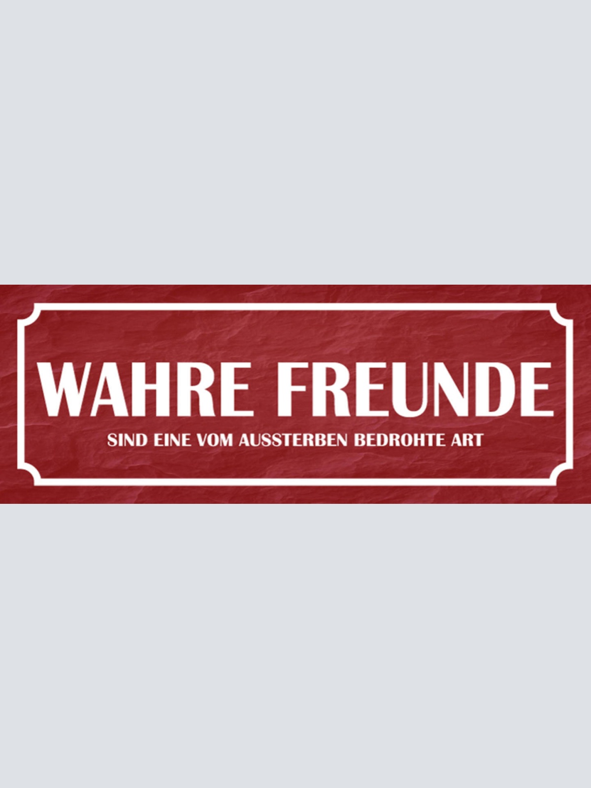 Schild Wahre Freunde Sind Eine Vom Aussterben Bedrohte Art 27x10 Blech od.Holz