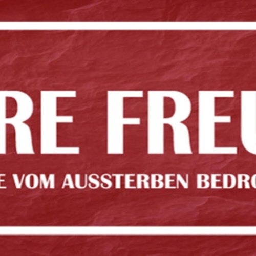 Schild Wahre Freunde Sind Eine Vom Aussterben Bedrohte Art 27x10 Blech od.Holz