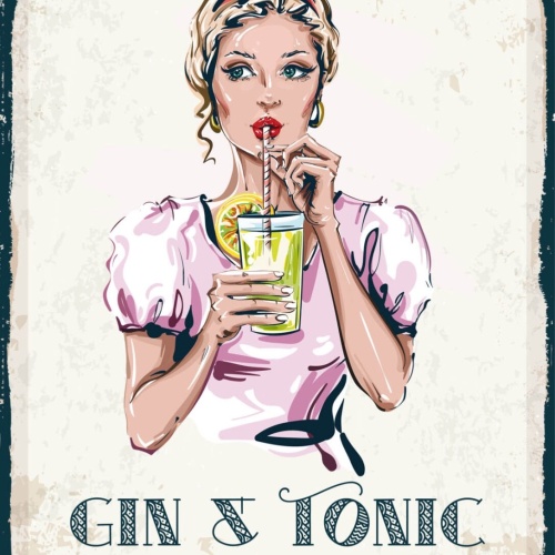 Schild Gin & Tonic Alkohol Drink Bar Cocktail Frau 12x18 20x30 30x40 Blech/Holz