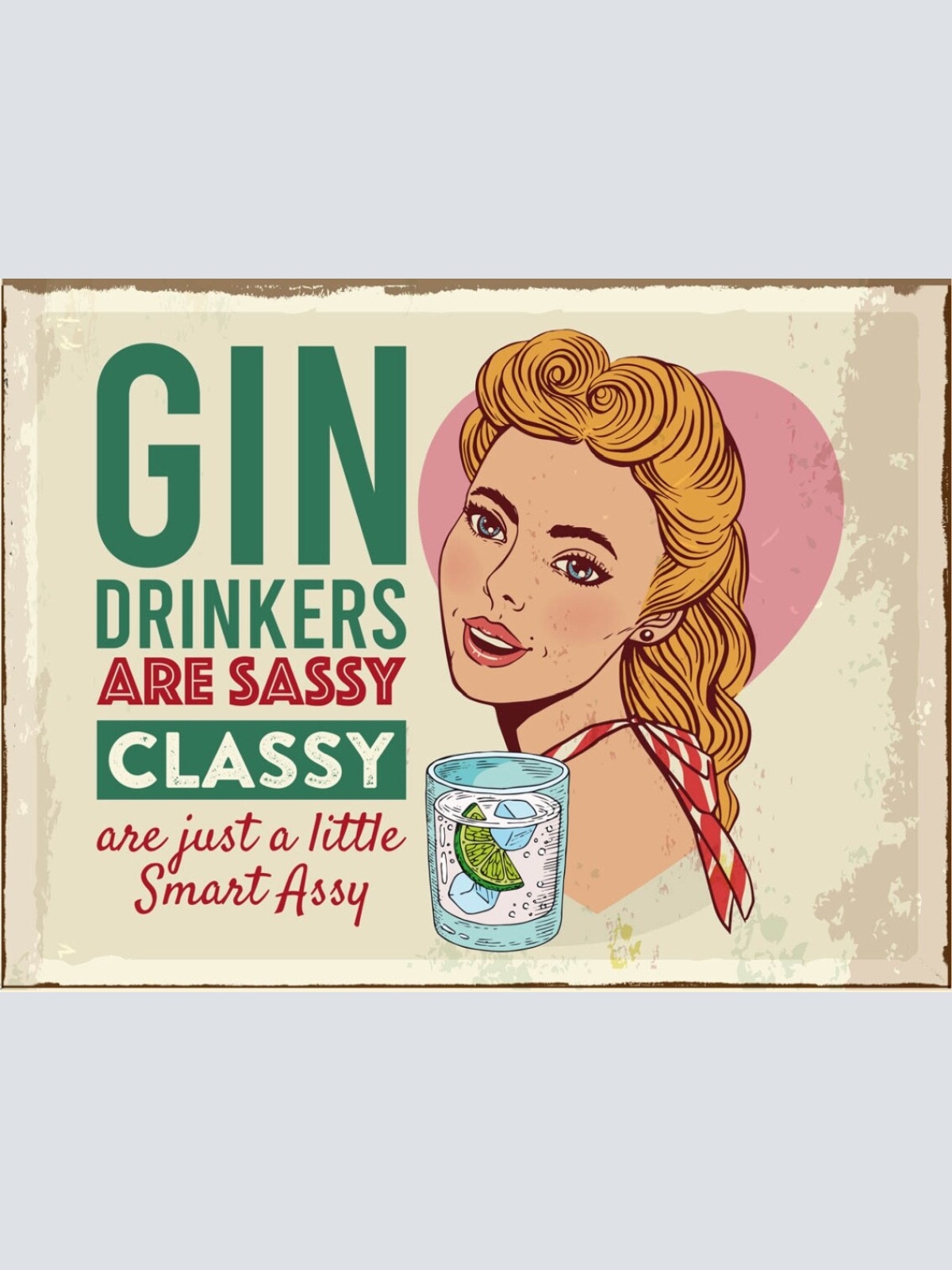 Schild Gin Drinkers Are Classy Sassy Smart Assy 12x18 20x30 30x40 Blech/Holz