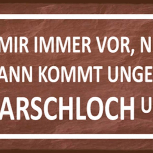 Schild Ich Nehme Mir Immer Vor Nett Zu Sein Ungebremst Irgendein Arschloch Ecke