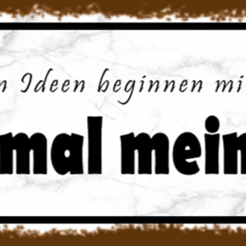 Schild Die Dümmsten Ideen Beginnen Mit Den Worten Halt Mal Mein Bier Alk 27x10