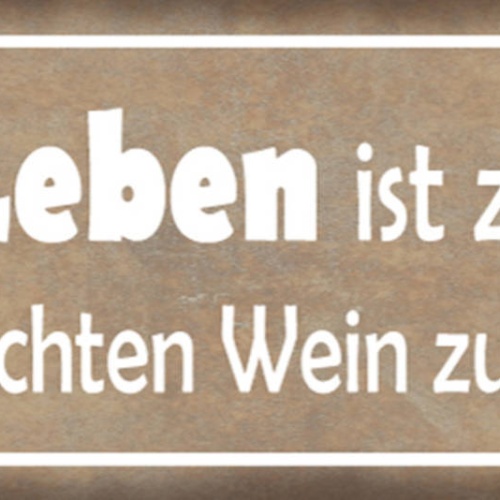 Schild Das Leben Ist Zu Kurz Um Schlechten Wein Zu Trinken 27 x 10 Blech od.Holz