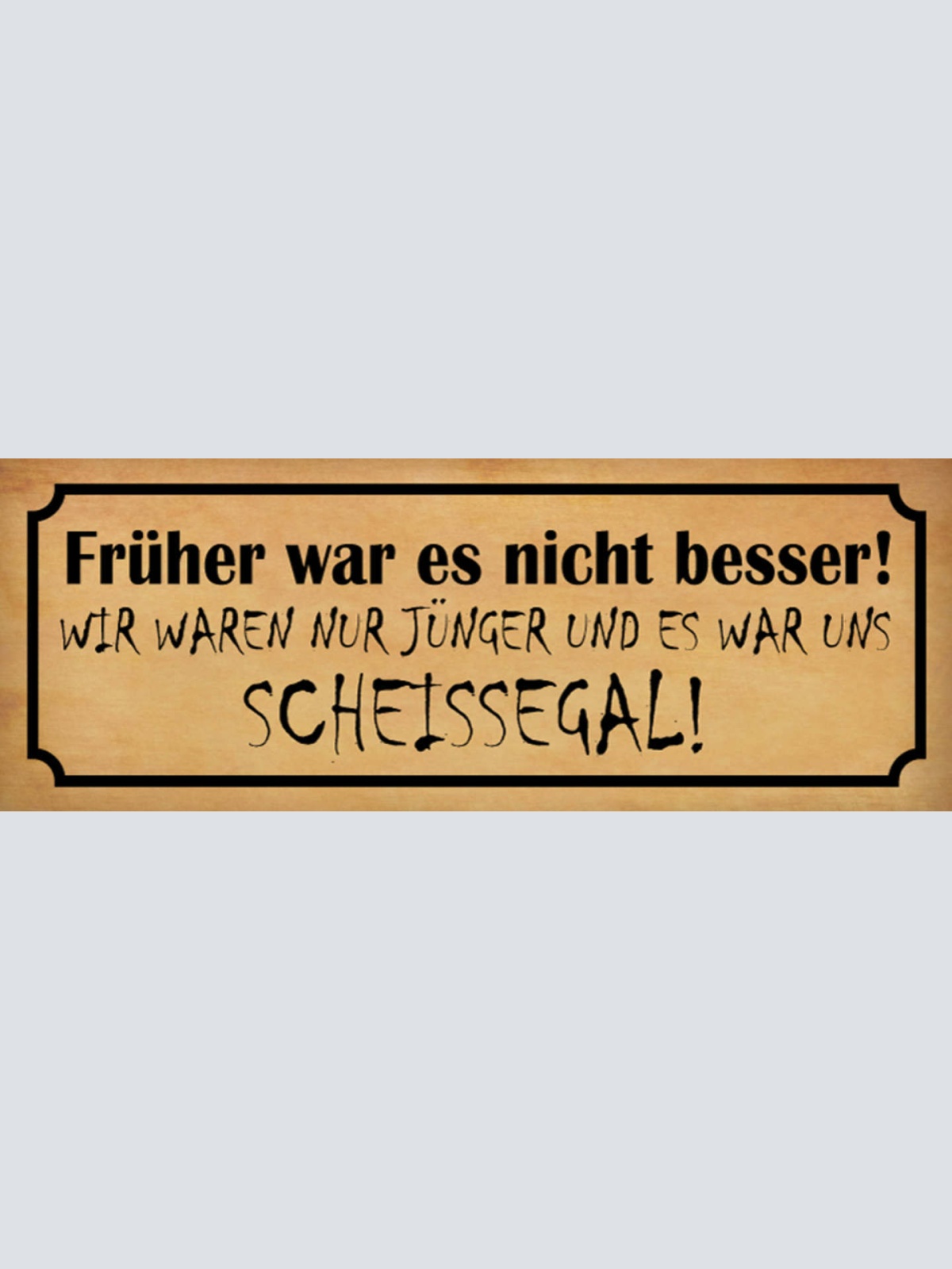 Schild Früher War Es Nicht Besser Wir Waren Nur Jünger Uns Scheiss Egal 27x10