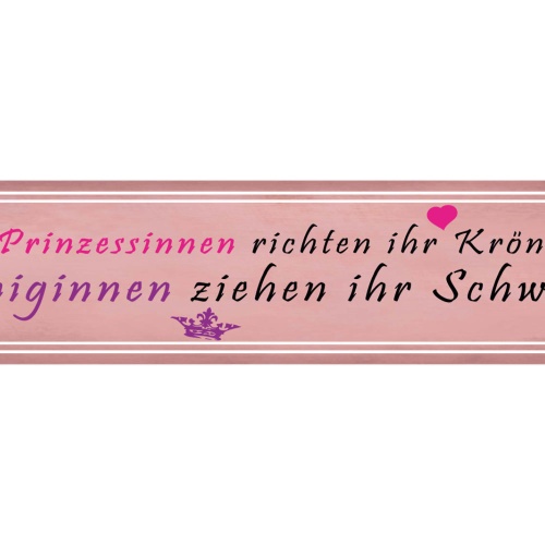 Schild Prinzessin Krone Königin Schwert Frau Selbstbewusst 46 x 10 Blech od.Holz