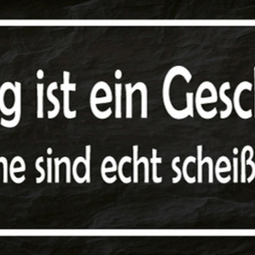 Schild Jeder Tag Ist Ein Geschenk Aber Manche Sind Echt Scheiße Verpackt 27x10