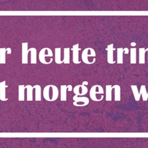 Schild Wer Heute Trinkt Braucht Morgen Weniger Alkohol Bier 27x10 Blech od.Holz